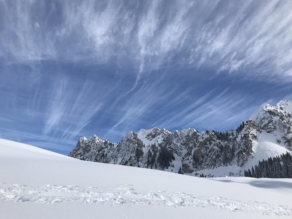 02_16. Jan 21_SAC Schneeschuhtour Schwarzsee (116).jpg